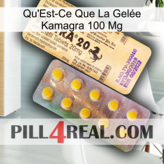 What Is Kamagra Jelly 100Mg new06